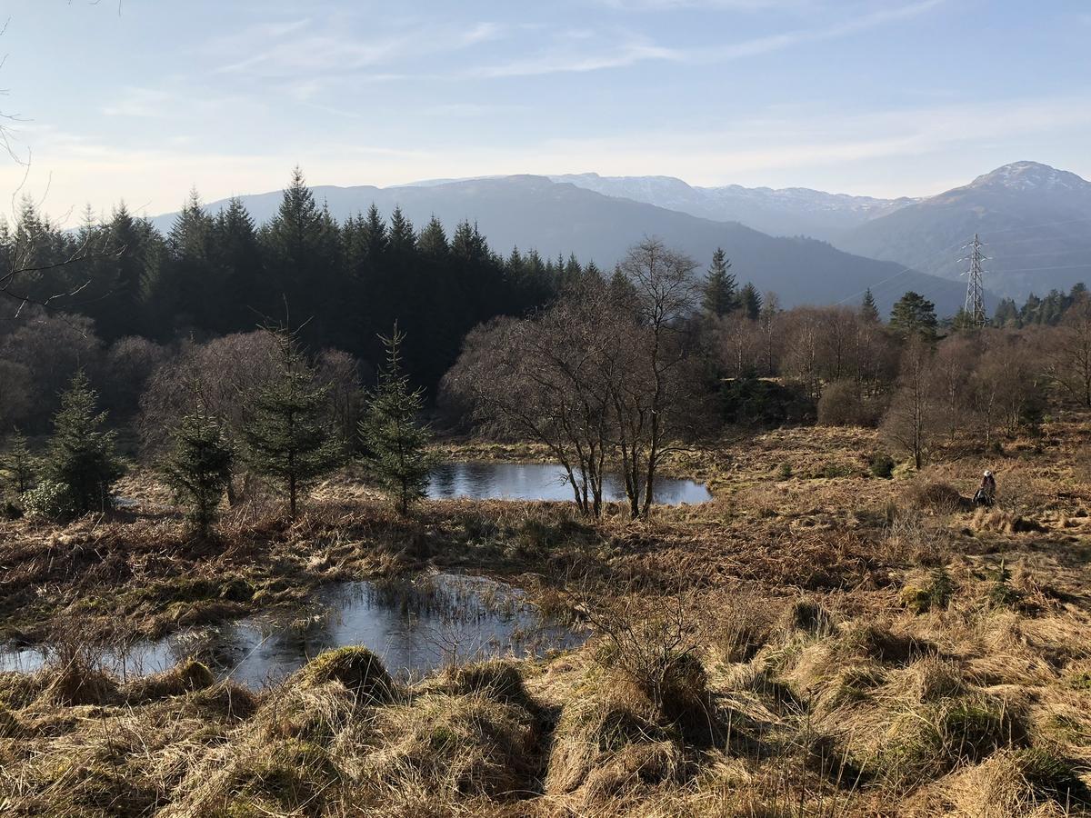 Pucks Glen Lodges, Rashfield, By ダヌーン エクステリア 写真